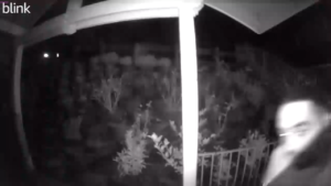 Attempted home burglary 2
