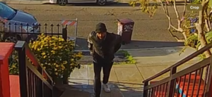 Mailing Boxes Theft